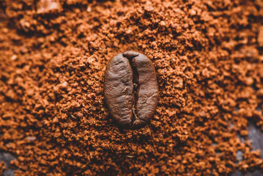 The Role of Natural Caffeine in Enhancing Workout Energy Levels - Musclestache Nutrition