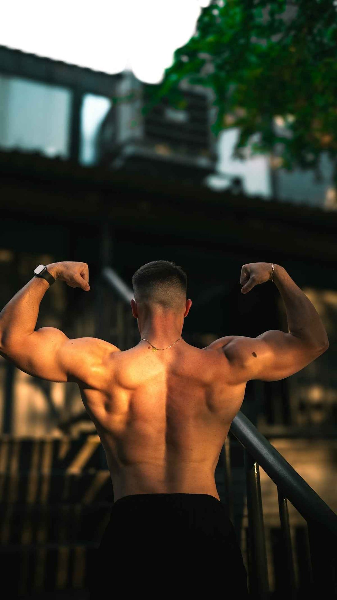 How to Balance Carbs Fats and Protein for Optimal Muscle Growth During Workouts - Musclestache Nutrition