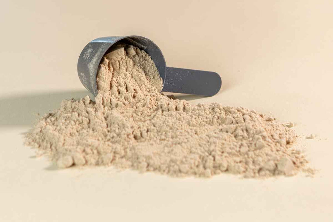 How Protein Powder Can Aid Muscle Growth and Recovery - Musclestache Nutrition