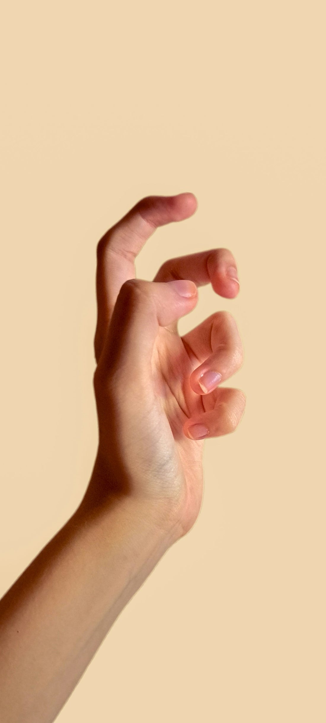 Revolutionary Ingredients: Whey Protein Isolate and Their Health Benefits - Musclestache Nutrition