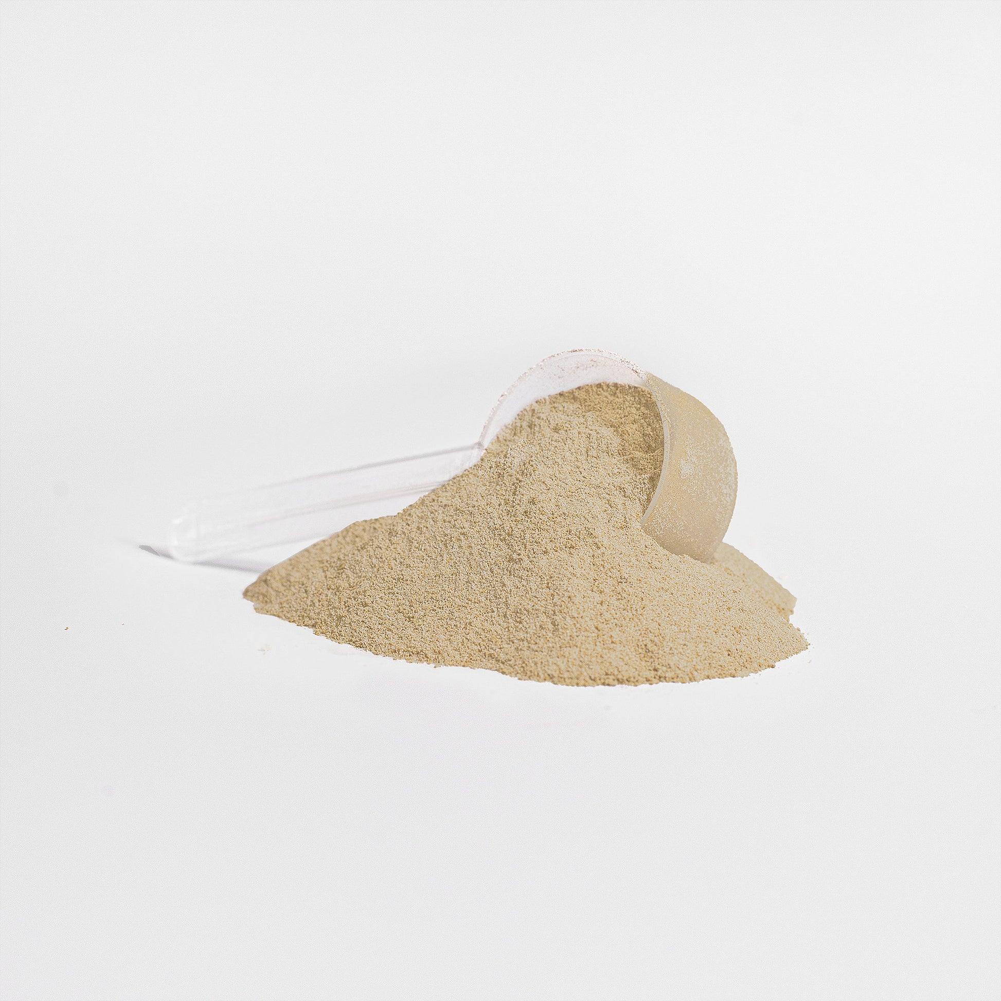 MSN Advanced 100% Whey Protein Isolate (Vanilla) - Musclestache Nutrition